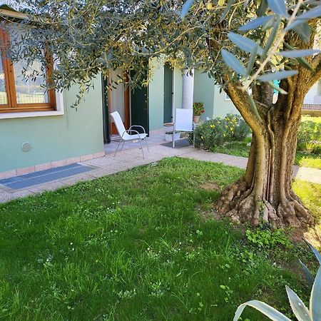 La Casa Sul Parco Apartment Valeggio sul Mincio Luaran gambar